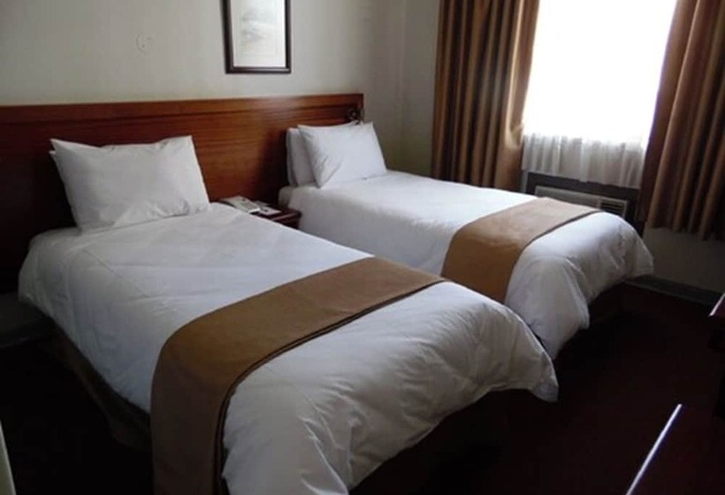 Номер Стандарт, Arcadia