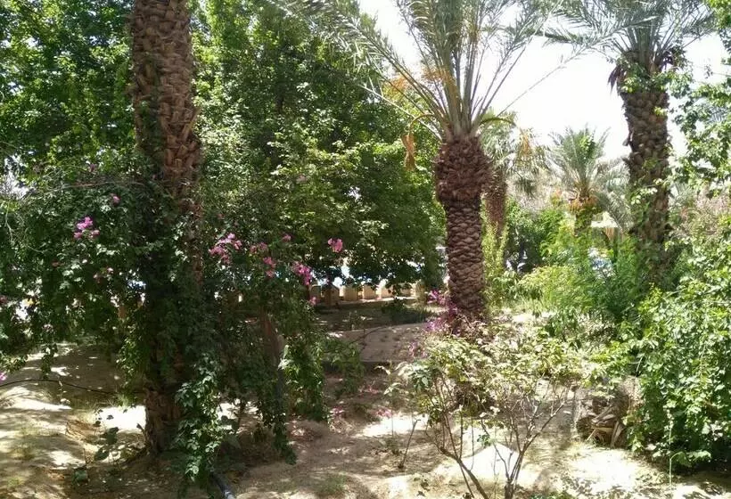اتاق استاندارد, Jugurtha Palace