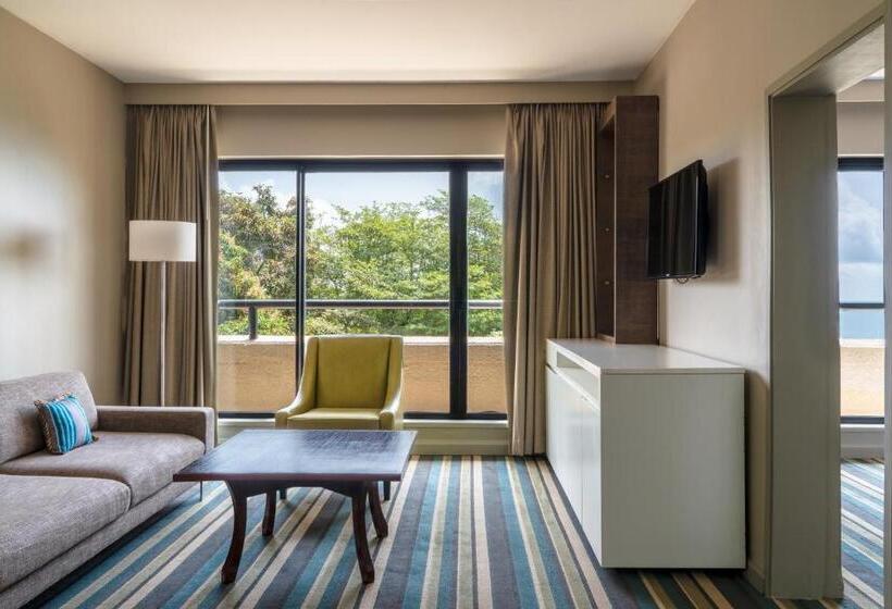 سوئیت با بالکن, Radisson Blu Mammy Yoko