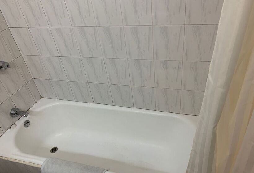 스탠다드 룸, Equator