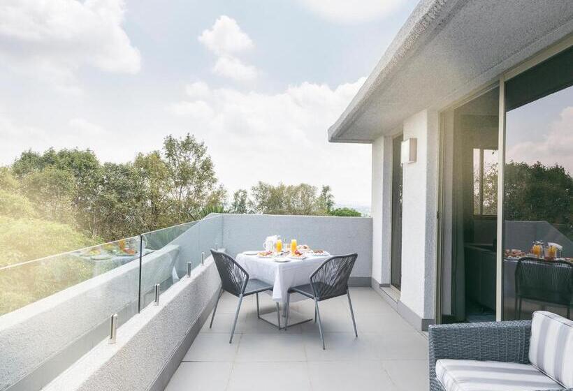Люкс Повышенной Комфортности, The Maslow Hotel, Sandton