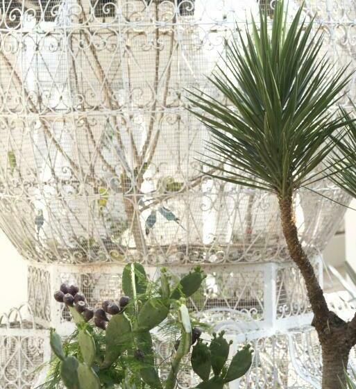 חדר סטנדרט, The Sindbad