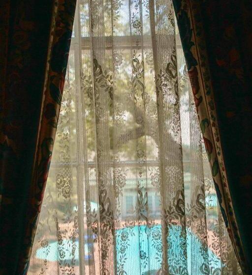 Люкс Повышенной Комфортности, Anchuca Historic Mansion & Inn