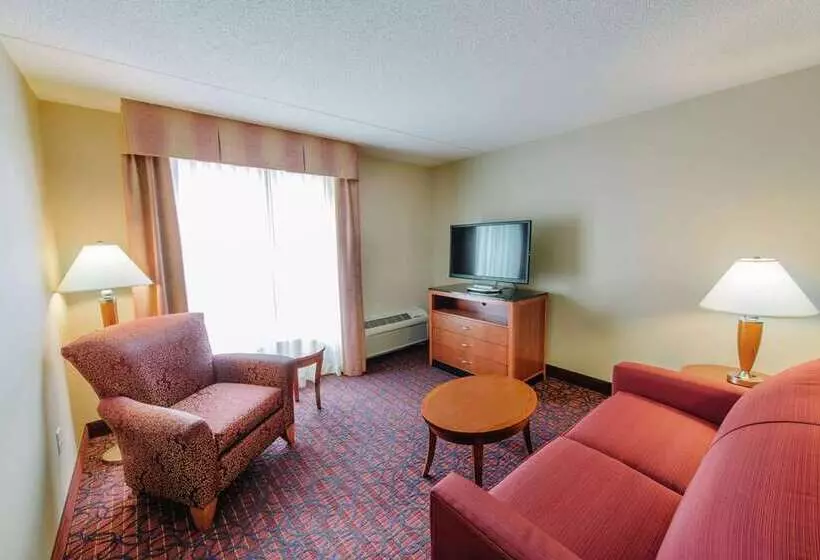 Standard-huone King-vuode, Hilton Atlanta Airport