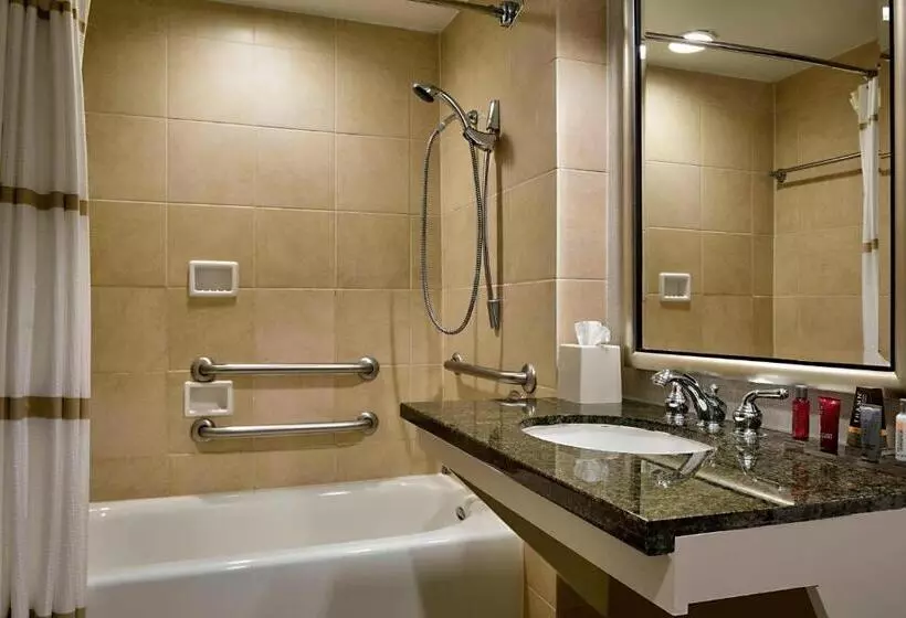 اتاق استاندارد با تخت بزرگ, Houston Marriott Westchase