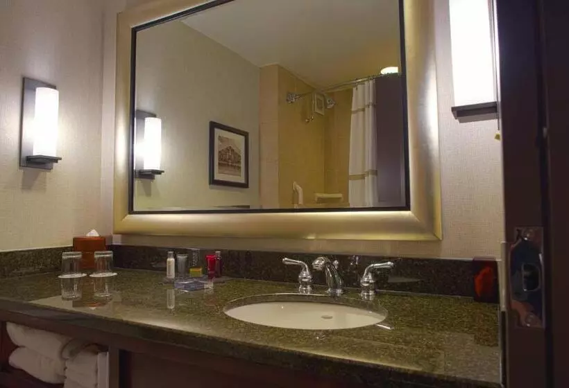 اتاق استاندارد با تخت بزرگ, Houston Marriott Westchase