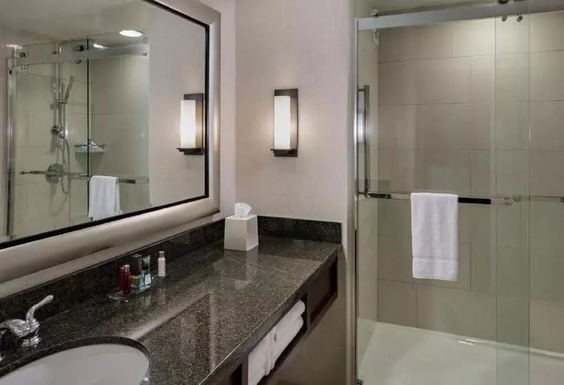 سوئیت جونیور با تخت بزرگ, Houston Marriott Westchase