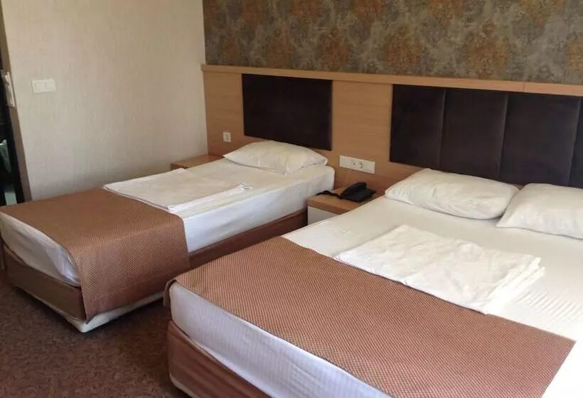 Chambre Economy, Start