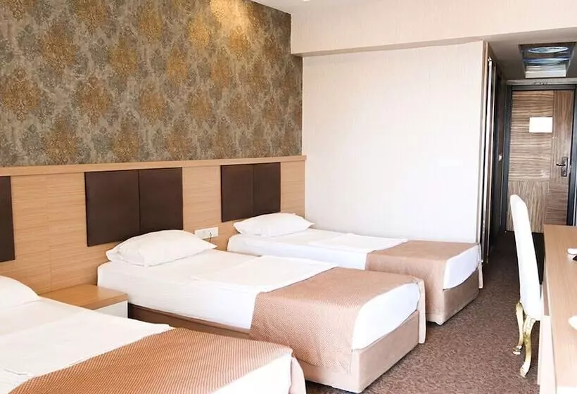 Chambre Triple Standard, Start
