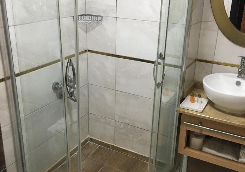 Quarto Economy, Start