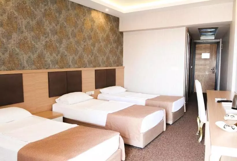 Chambre Triple Standard, Start