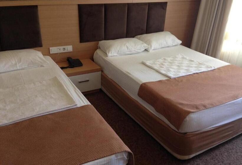 Quarto Economy, Start