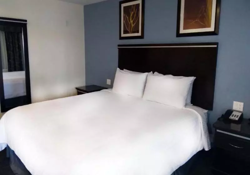 اتاق استاندارد با تخت بزرگ, Surestay Hotel By Best Western Chula Vista San Diego Bay