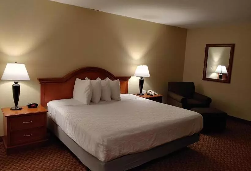 Deluxe-huone King-vuode, Surestay Plus Hotel By Best Western Reno Airport
