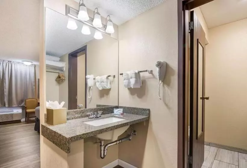 Standard-huone King-vuode, Surestay Plus Hotel By Best Western Reno Airport