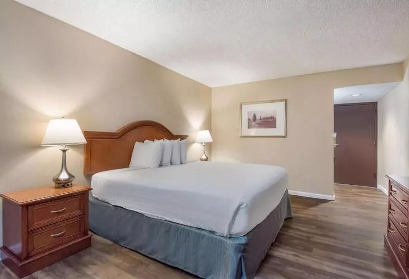 Standard-huone King-vuode, Surestay Plus Hotel By Best Western Reno Airport