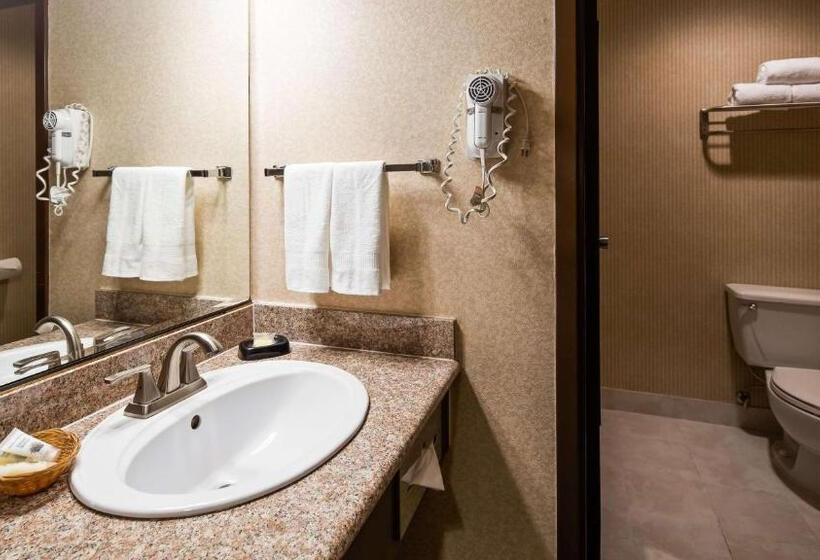 Полулюкс, Surestay Plus Hotel By Best Western Reno Airport