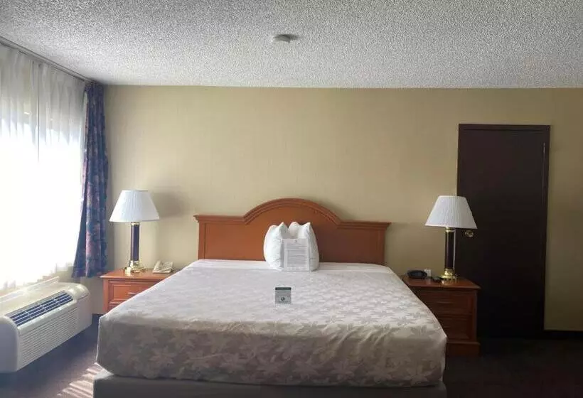 Standard-invahuone King-vuode, Surestay Plus Hotel By Best Western Reno Airport