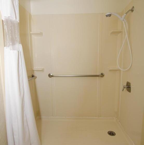 Номер Стандарт Кровать Кинг Адаптированный для Инвалидов, Surestay Plus Hotel By Best Western Reno Airport