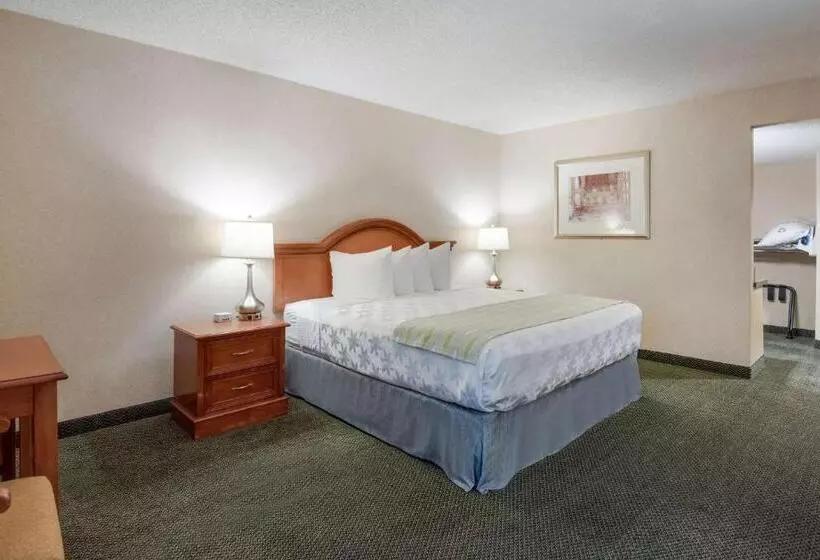 Standard-invahuone King-vuode, Surestay Plus Hotel By Best Western Reno Airport