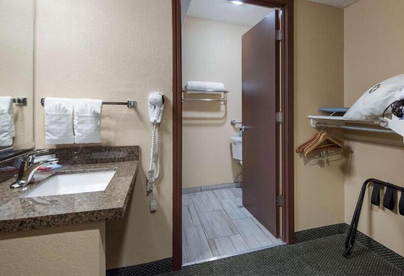 Номер Стандарт Кровать Кинг Адаптированный для Инвалидов, Surestay Plus Hotel By Best Western Reno Airport