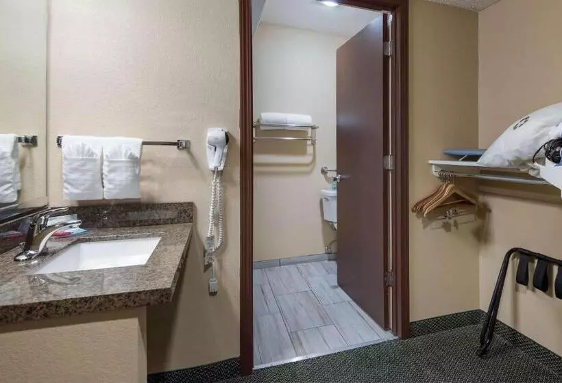 Standard-invahuone King-vuode, Surestay Plus Hotel By Best Western Reno Airport
