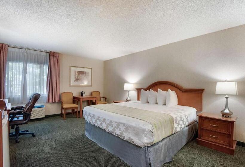 اتاق استاندارد با تخت بزرگ برای معلولان, Surestay Plus Hotel By Best Western Reno Airport
