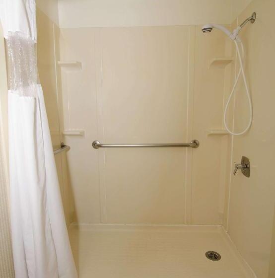 Номер Стандарт Кровать Кинг Адаптированный для Инвалидов, Surestay Plus Hotel By Best Western Reno Airport