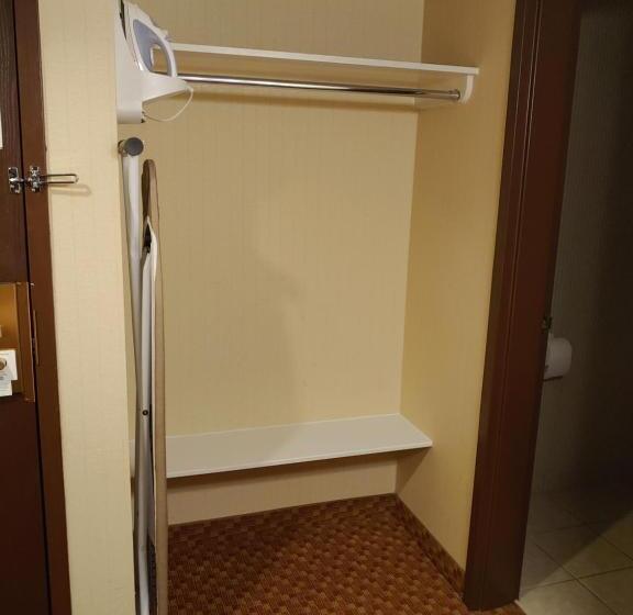 Номер Deluxe Одноместный, Surestay Plus Hotel By Best Western Reno Airport