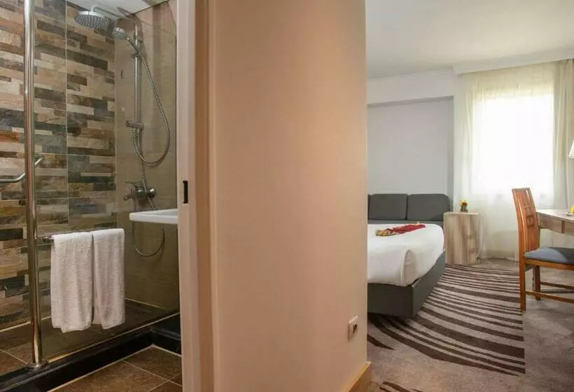 اتاق استاندارد, Novotel Cairo Airport
