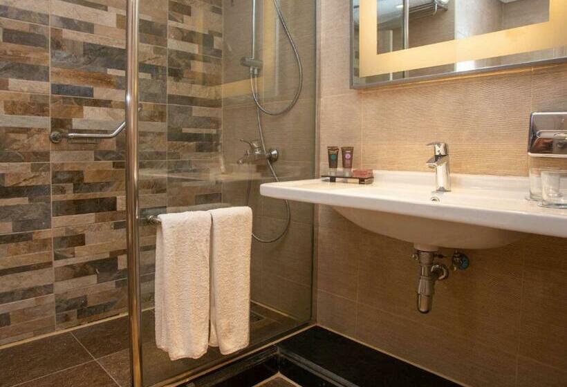 سوئیت با تخت بزرگ, Novotel Cairo Airport