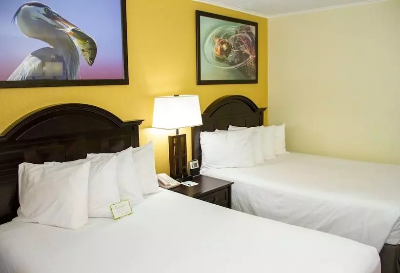 ２ダブルベッドのスタンダードルーム, Wyndham Garden Fort Walton Beach Destin
