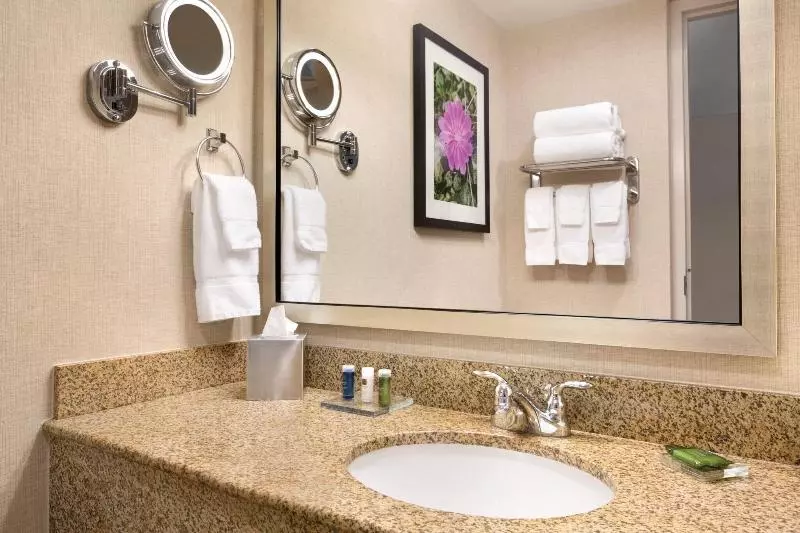 キングサイズベッドのスイートルーム, Delta Hotels By Marriott Helena Colonial