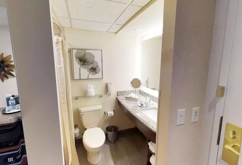 اتاق استاندارد با 2 تخت دوبل, Eden Resort And Suites, Bw Premier Collection