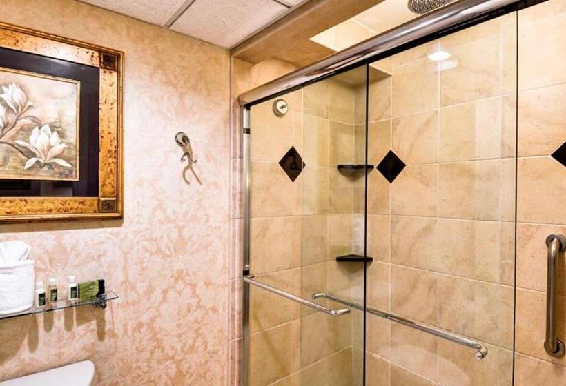 キングサイズベッドのスタンダードルーム, Eden Resort And Suites, Bw Premier Collection