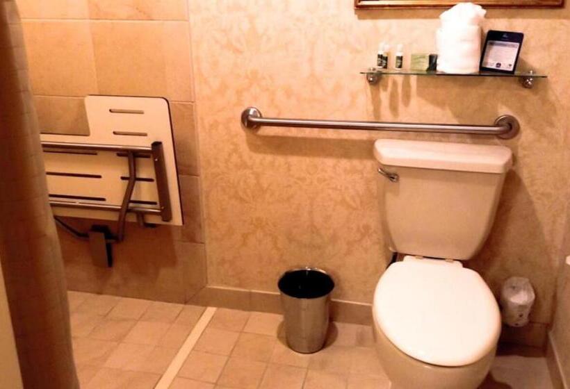 Номер Стандарт Кровать Кинг Адаптированный для Инвалидов, Eden Resort And Suites, Bw Premier Collection