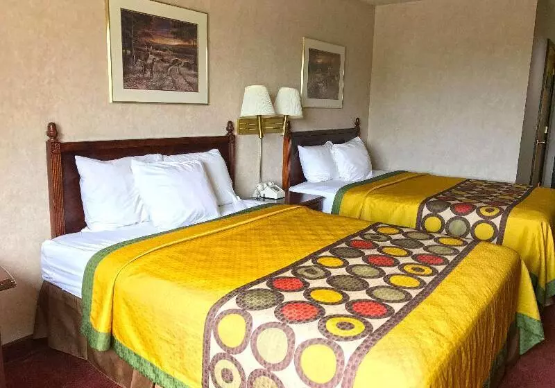 スタンダードルーム, Americas Best Value Inn Ullin Mounds