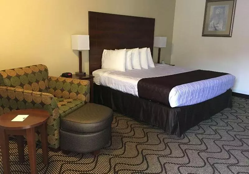 اتاق استاندارد با تخت بزرگ, Best Western Heritage Inn
