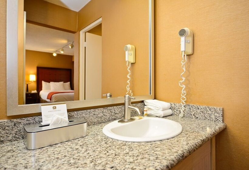 带2个双人床的标准工作室, Best Western Inn At Palm Springs