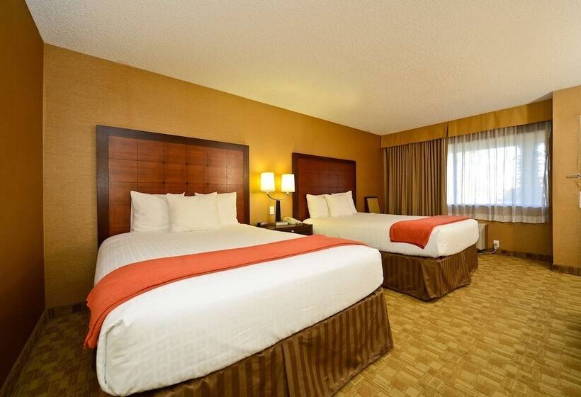 带2个双人床的标准工作室, Best Western Inn At Palm Springs