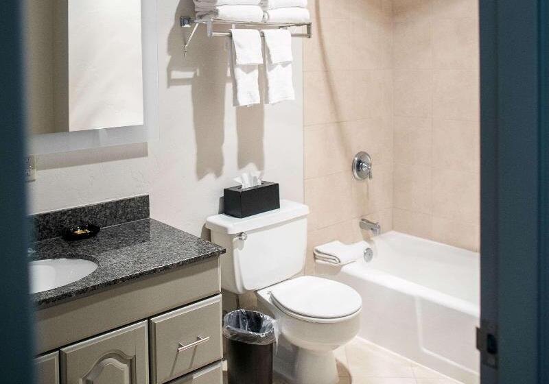 جناح سرير كينج, Best Western Plus Burley Inn & Convention Center