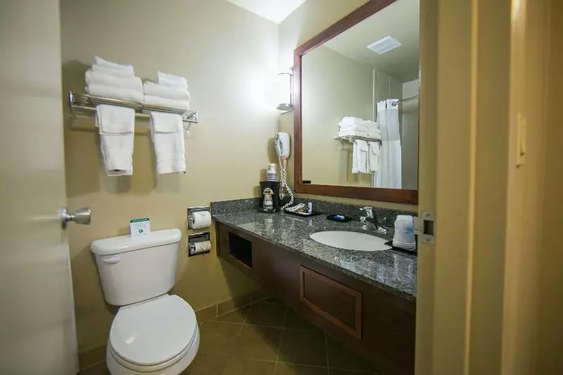 キングサイズベッドのスイートルーム, Best Western Plus Burley Inn & Convention Center