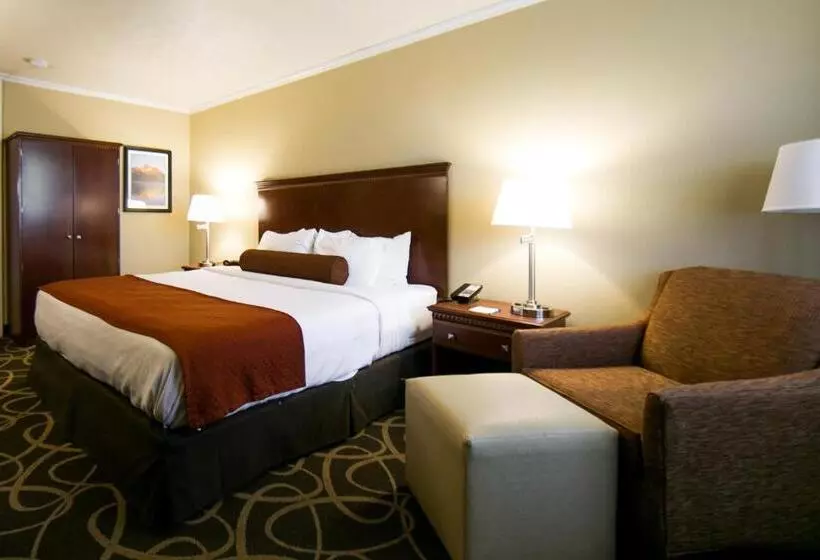 キングサイズベッドのスタンダードルーム, Best Western Plus Burley Inn & Convention Center