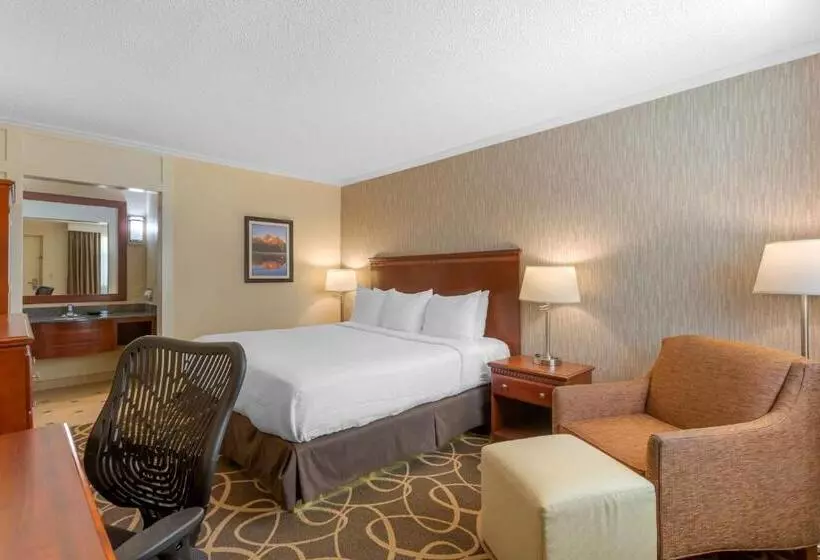 キングサイズベッドのスタンダードルーム, Best Western Plus Burley Inn & Convention Center