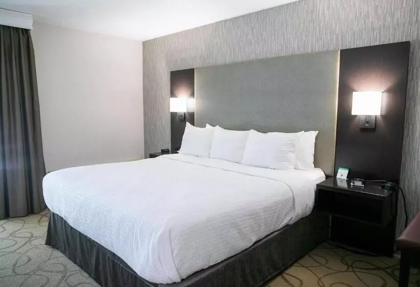 キングサイズベッドのスイートルーム, Best Western Plus Burley Inn & Convention Center