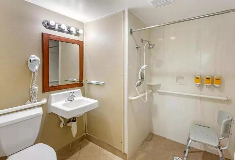 身障者適用キングサイズベッドルーム, Best Western Plus Burley Inn & Convention Center