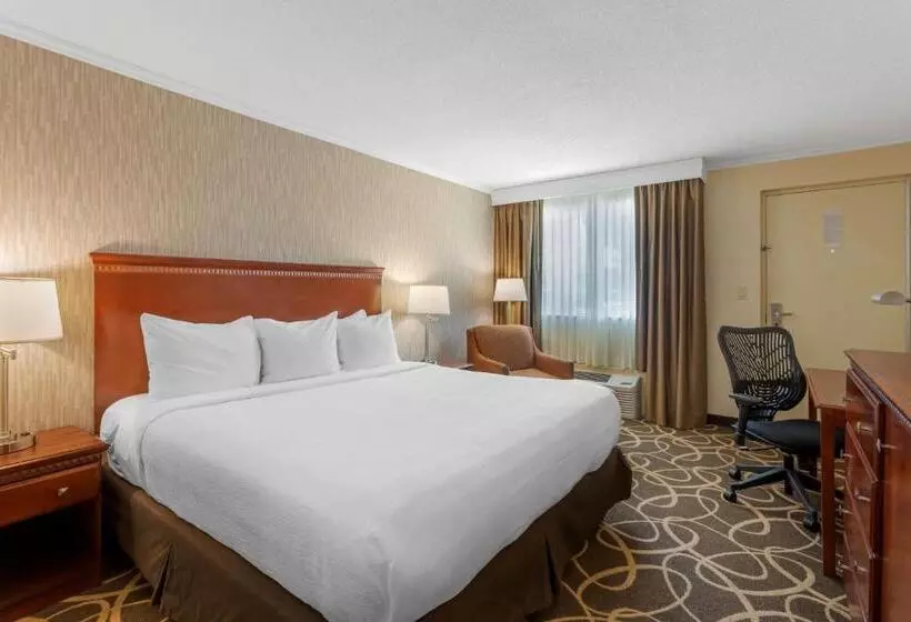 身障者適用キングサイズベッドルーム, Best Western Plus Burley Inn & Convention Center