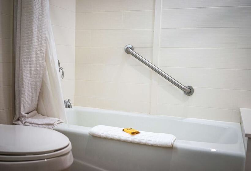 חדר סטנדרט שתי מיטות זוגיות, Best Western Plus Dubuque Hotel And Conference Center