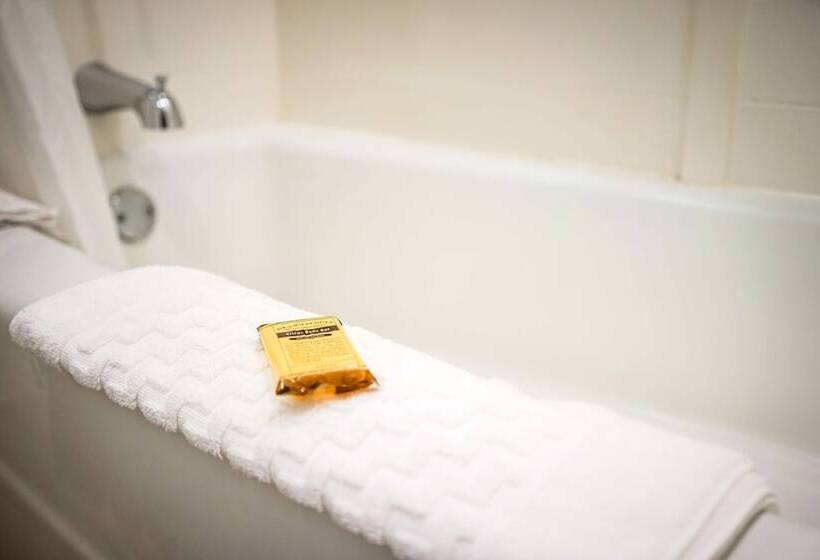 חדר סטנדרט שתי מיטות זוגיות, Best Western Plus Dubuque Hotel And Conference Center