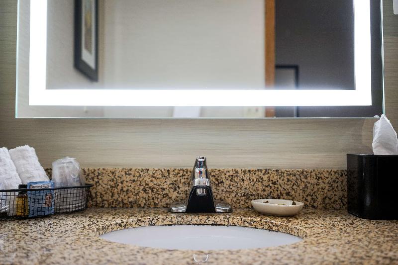 חדר סטנדרט, Best Western Plus Dubuque Hotel And Conference Center